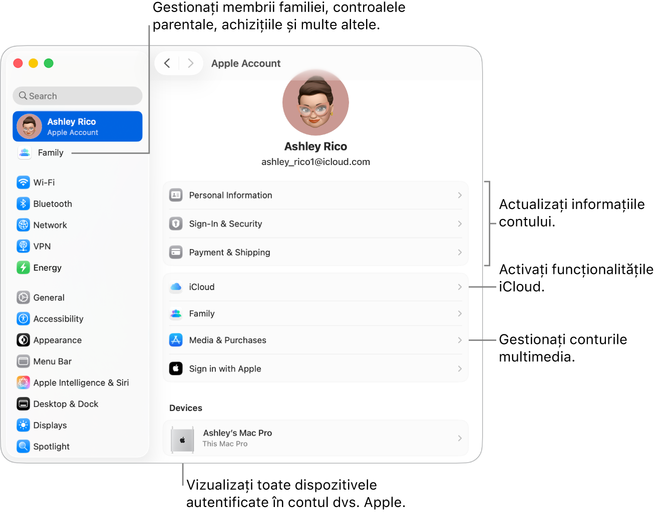 Configurările contului Apple din Configurări sistem cu explicații pentru actualizarea informațiilor contului dvs., activarea sau dezactivarea funcționalităților iCloud, gestionarea conturilor multimedia și Familie, unde puteți gestiona membrii familiei, controalele parentale, cumpărăturile și altele.