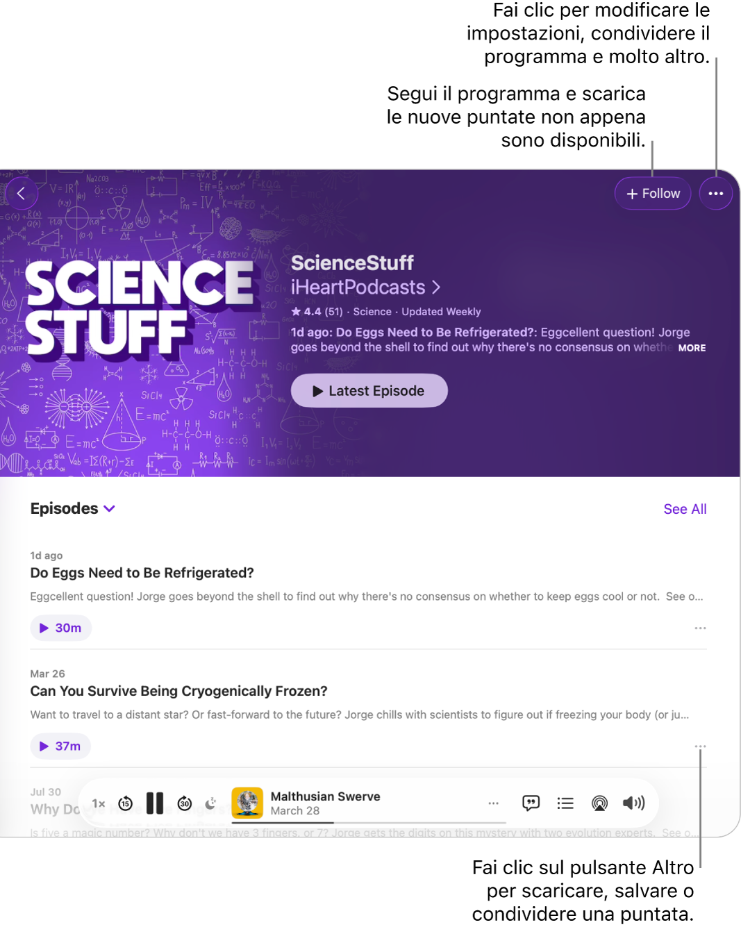 Una finestra di Podcast che mostra un elenco di puntate di un podcast. Il pulsante Segui, nella parte superiore della finestra, consente di seguire il podcast, mentre il pulsante Altro accanto a ciascuna puntata consente di scaricare o salvare il contenuto.