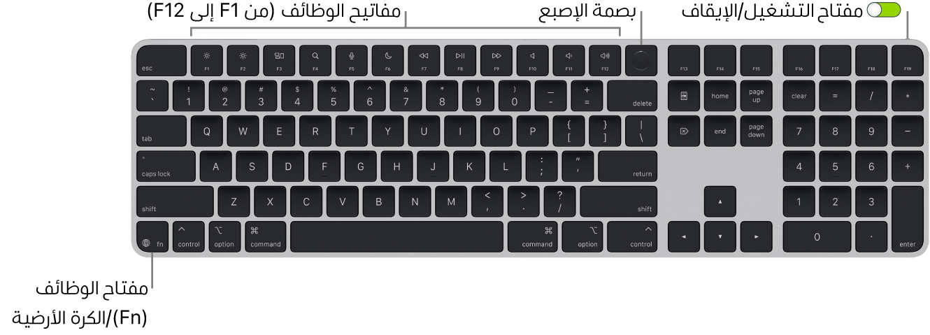 لوحة مفاتيح ماجيك المزودة ببصمة الإصبع يظهر بها صف مفاتيح الوظائف وبصمة الإصبع على امتداد الجزء العلوي، ومفتاح الوظائف (fn)/الكرة الأرضية في الزاوية السفلية اليسرى منها.