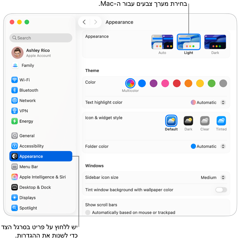 חלון ״מראה״ ב״הגדרות המערכת״.