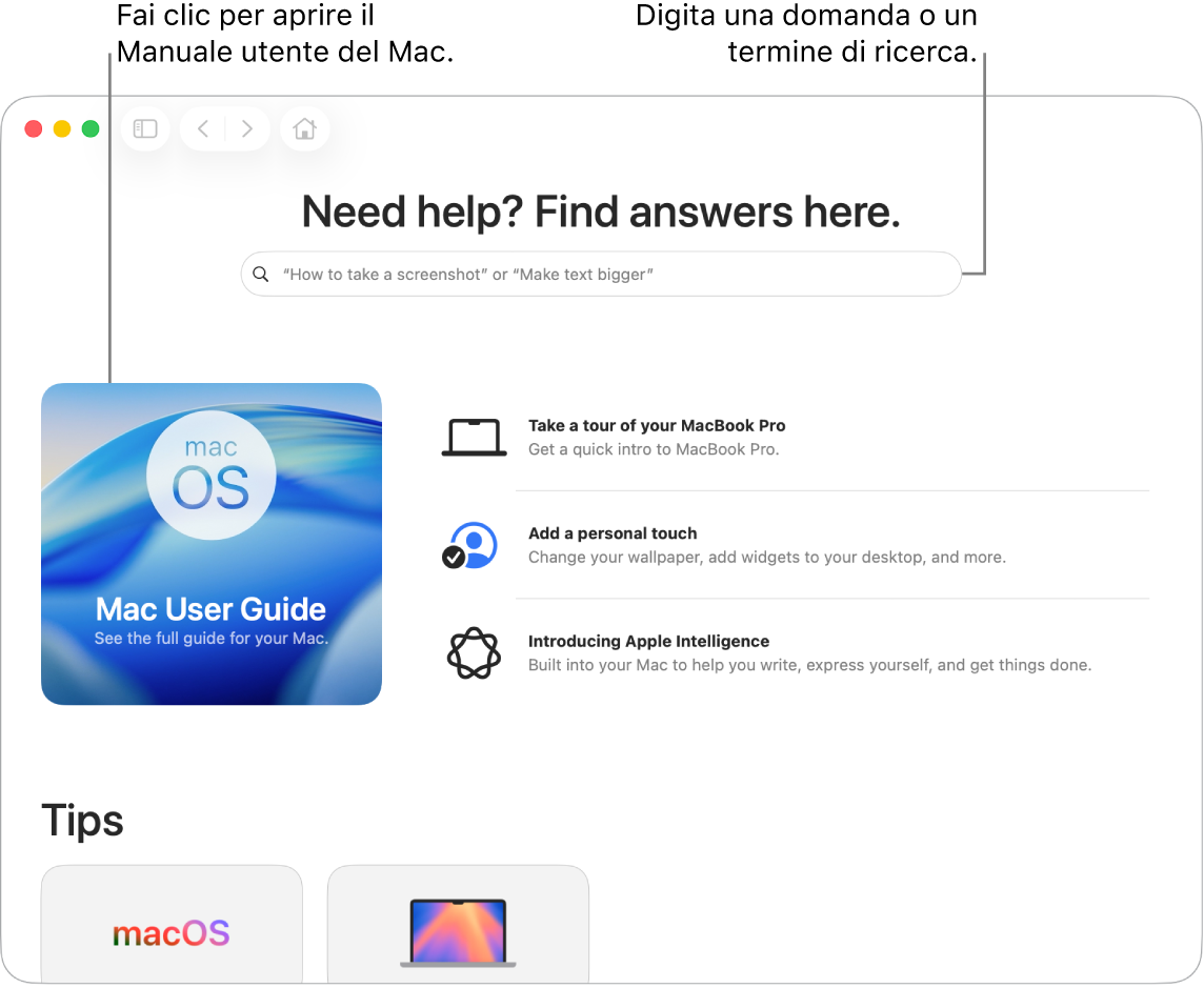 La landing page dell’app Suggerimenti che mostra il Manuale utente del Mac, il campo di ricerca e gli argomenti suggeriti.