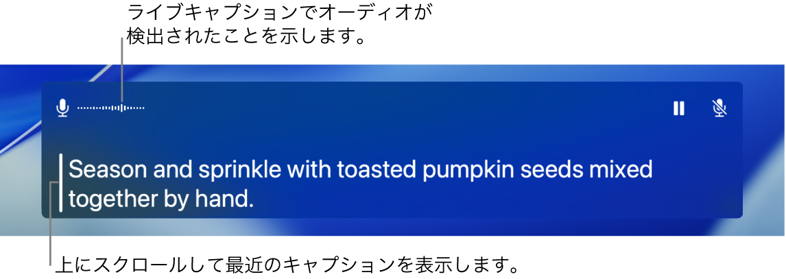 オーディオのリアルタイムキャプション。