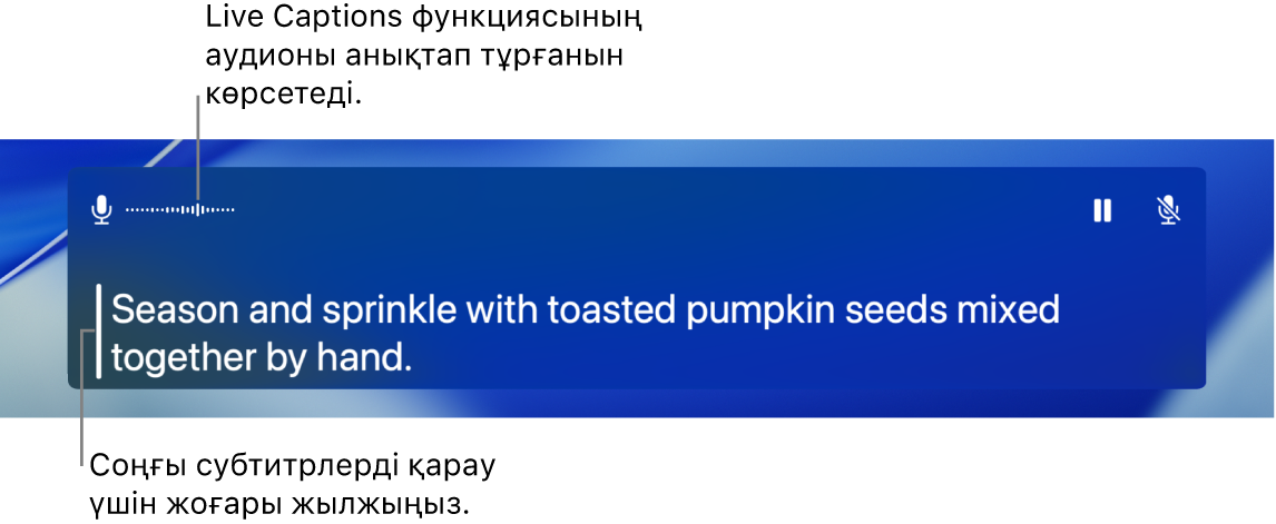 Аудио үшін нақты уақыттағы субтитрлер.