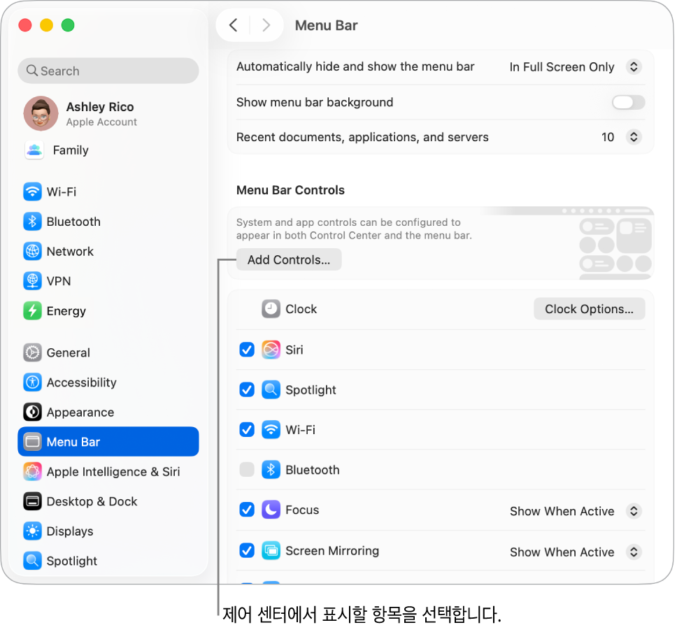 메뉴 막대 설정 윈도우.