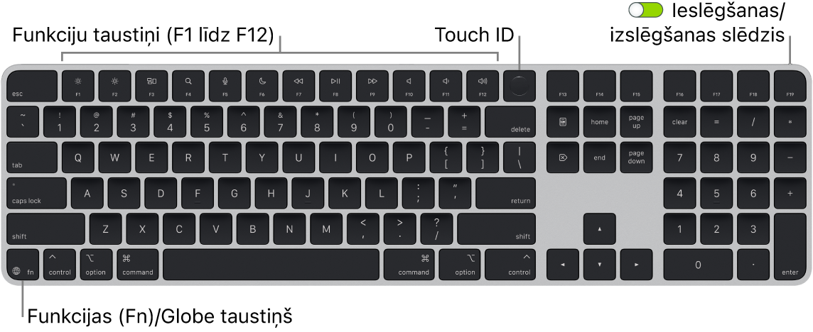Tastatūra Magic Keyboard ar Touch ID un ciparu tastatūra, kam augšdaļā redzama funkciju taustiņu rinda un Touch ID, bet apakšā pa kreisi — taustiņš Function (Fn)/Globe.
