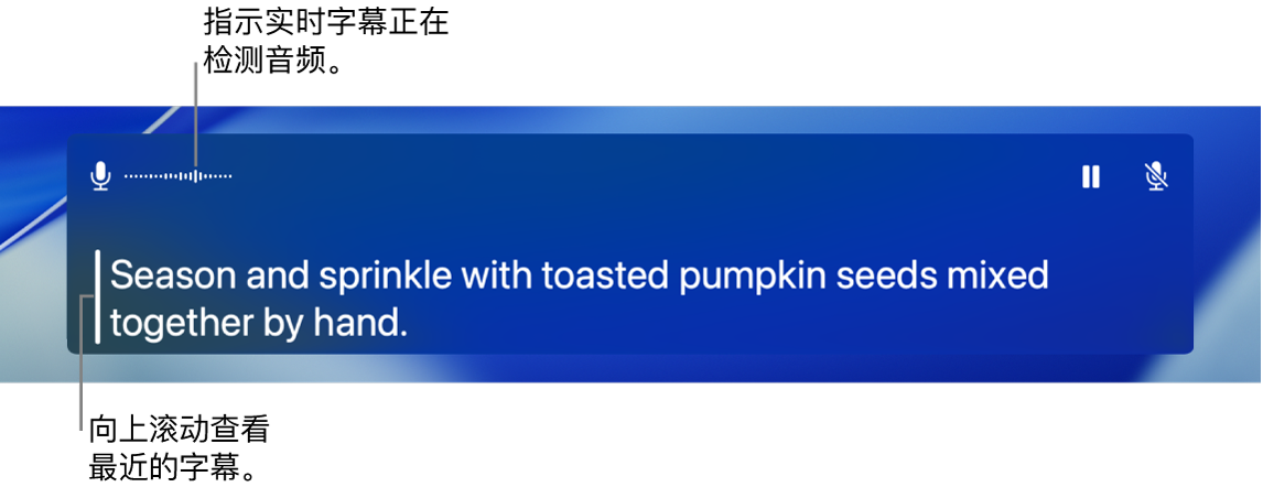音频的实时字幕。