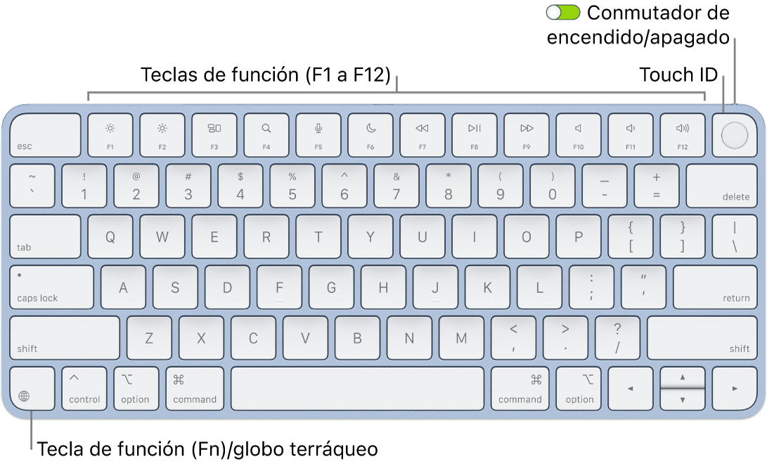 Magic Keyboard con Touch ID, con la fila de teclas de función y Touch ID en la parte superior, y la tecla del globo terráqueo o función (Fn) en la esquina inferior izquierda.