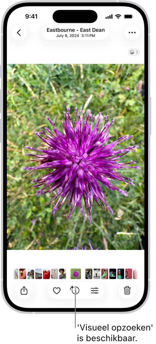 Een foto is open in de fotobibliotheek van de Foto's-app. Onder in het scherm heeft de infoknop een symbool dat aangeeft dat 'Visueel opzoeken' beschikbaar is.