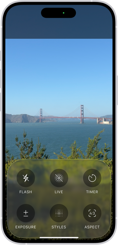 “相机”在照片模式下打开。屏幕底部是用于以下相机控制的按钮:闪光灯、实况、计时器、曝光、风格和宽高比。