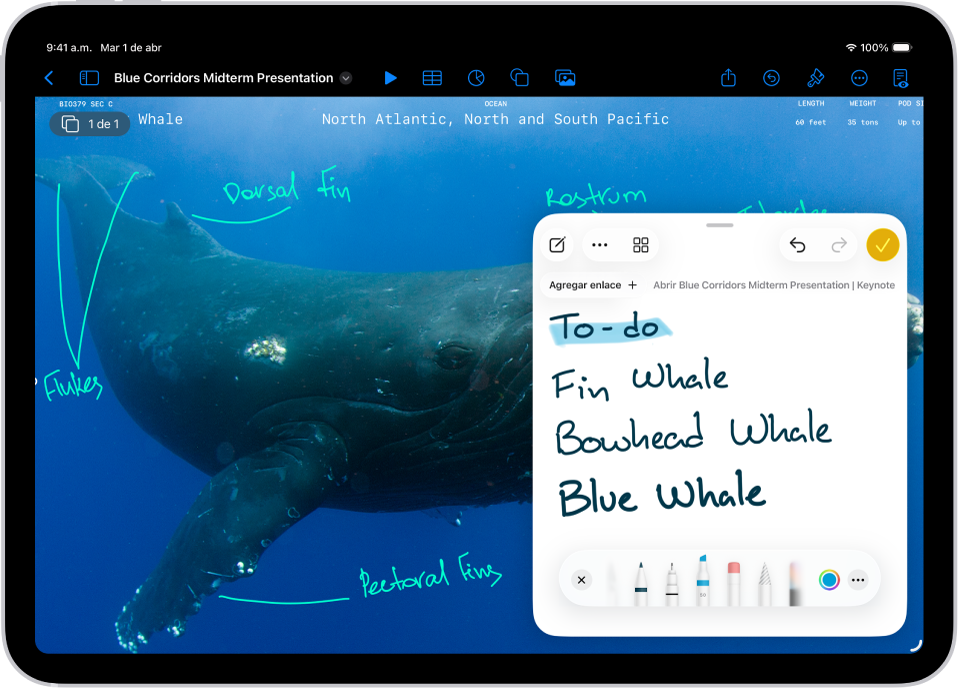 Hay una nota rápida abierta abajo a la derecha sobre un documento de Keynote.
