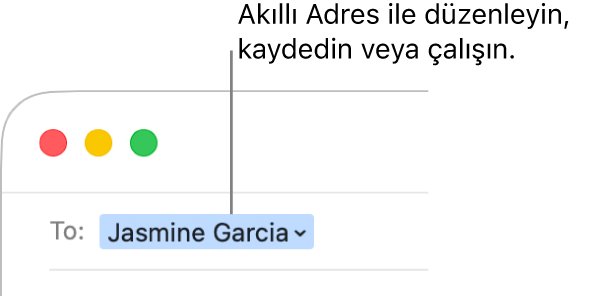 Akıllı Adresteki oku tıklayarak Akıllı Adresi düzenleyebilir, kaydedebilir veya Akıllı Adresle çalışabilirsiniz.