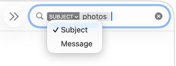 Bộ lọc tìm kiếm có mũi tên xuống được bấm vào để hiển thị hai tùy chọn: Chủ đề và Thư. Chủ đề được chọn.