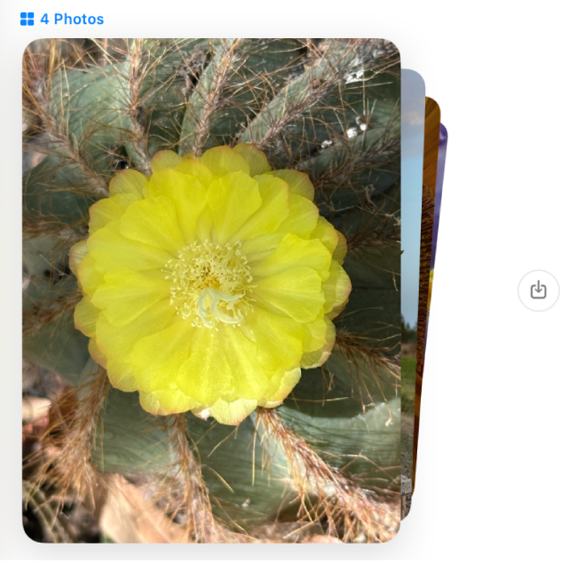 รูปภาพหกรูปวางซ้อนกันในการสนทนา คลิกปุ่มบันทึกรูปภาพทางด้านขวาเพื่อบันทึกรูปภาพไปยังคลังรูปภาพของคุณ