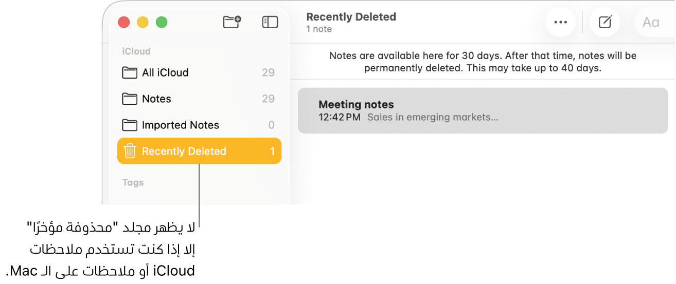 نافذة الملاحظات وبها مجلد "محذوفة مؤخرًا" في الشريط الجانبي وملاحظة تم حذفها مؤخرًا. لا ترى المجلد محذوفة مؤخرًا إلا إذا كنت تستخدم ملاحظات iCloud أو الملاحظات على الـ Mac الخاص بك.