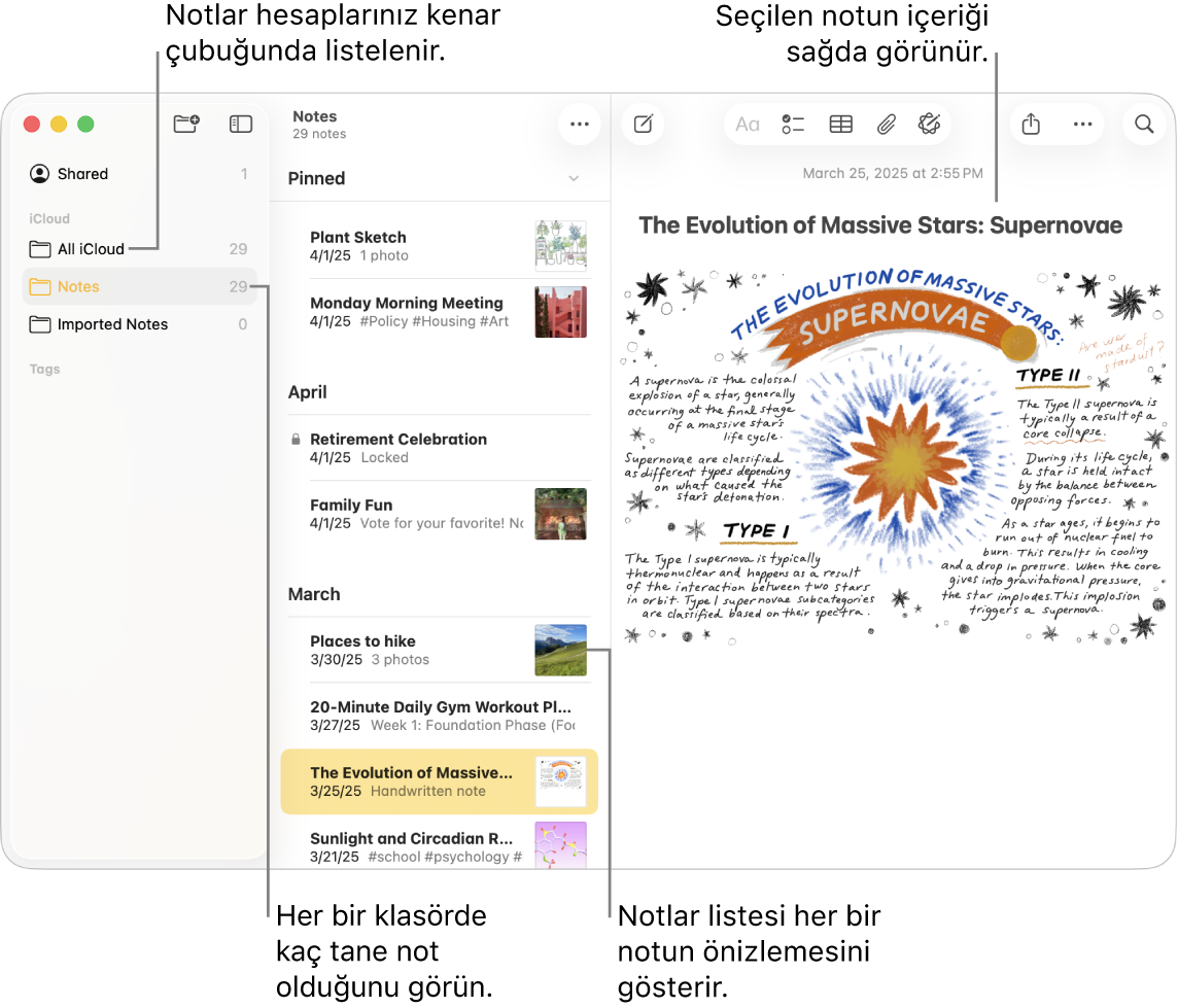 Mac’te bir Notlar uygulaması penceresinde, soldaki kenar çubuğunda tüm ayarlanmış hesapların ve klasörlerin listesi, ortada her notun önizlemesini gösteren not listesi ve sağda seçilen notun içeriği görünüyor. Notların sayısı her bir klasörün yanında görünür.