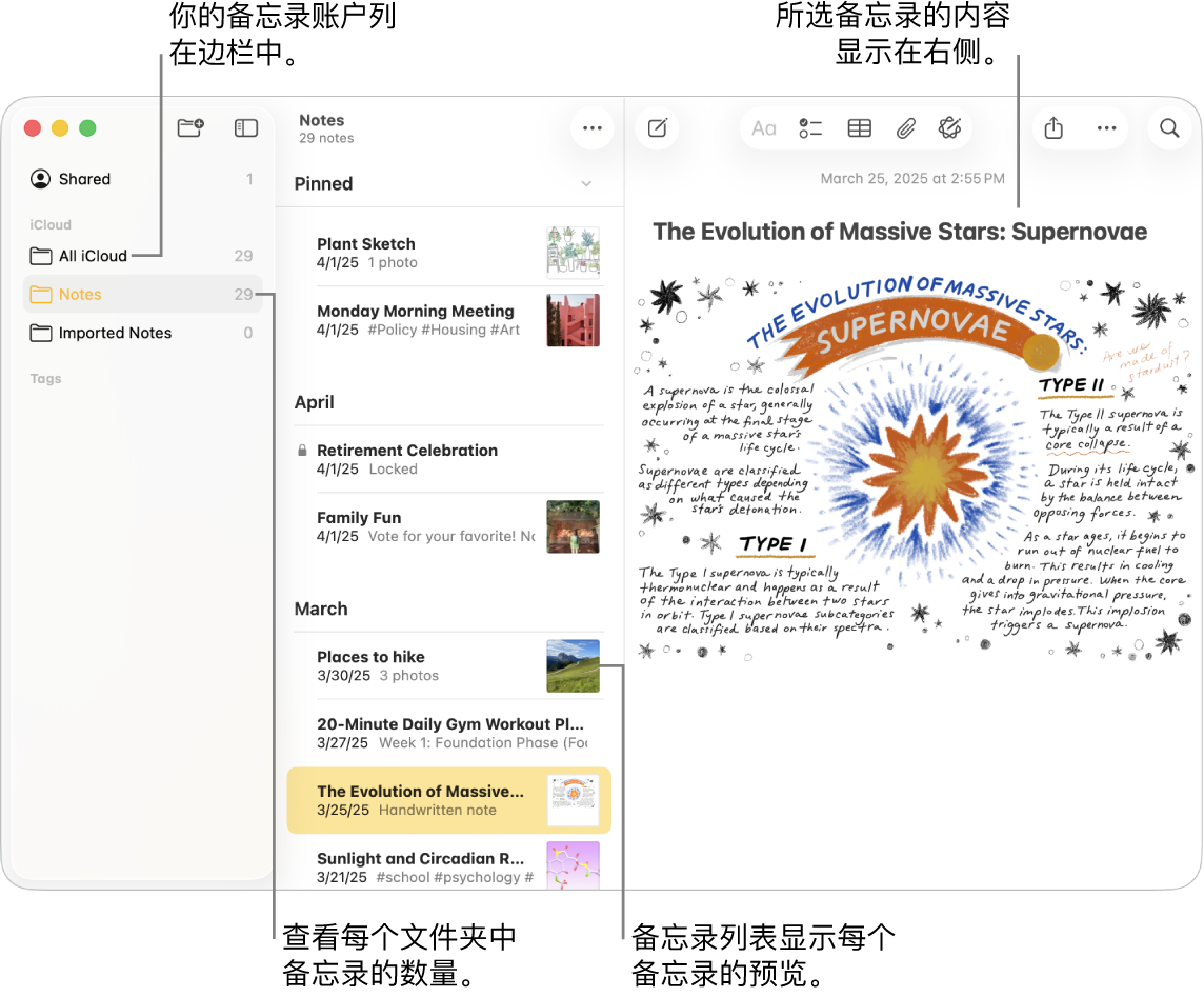Mac 上的“备忘录” App 窗口，左侧边栏列出了所有已配置的账户和文件夹，中间的备忘录列表显示各个备忘录的预览，右侧显示所选备忘录的内容。备忘录的数量显示在每个文件夹旁边。