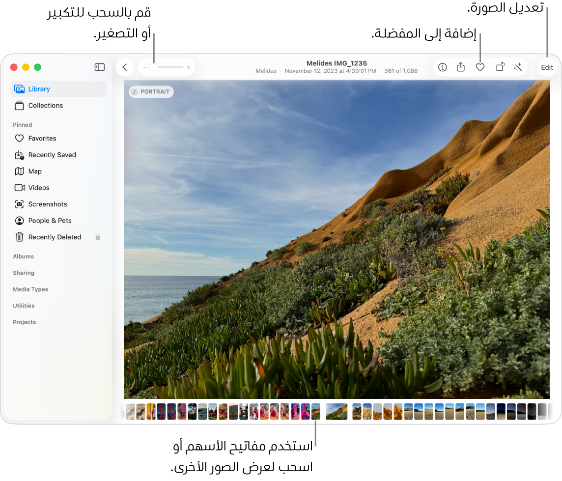 نافذة الصور وتظهر بها صورة مكبرة على اليسار وصف من الصور المصغرة أدناها. شريط الأدوات في الجزء العلوي يتضمن شريط تمرير التكبير/التصغير وزر المفضلة وزر تعديل.