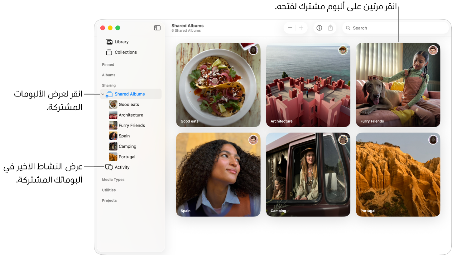 نافذة الصور تعرض خيار "الألبومات المشتركة" محددًا في الشريط الجانبي وتظهر ألبومات مشتركة على اليسار.