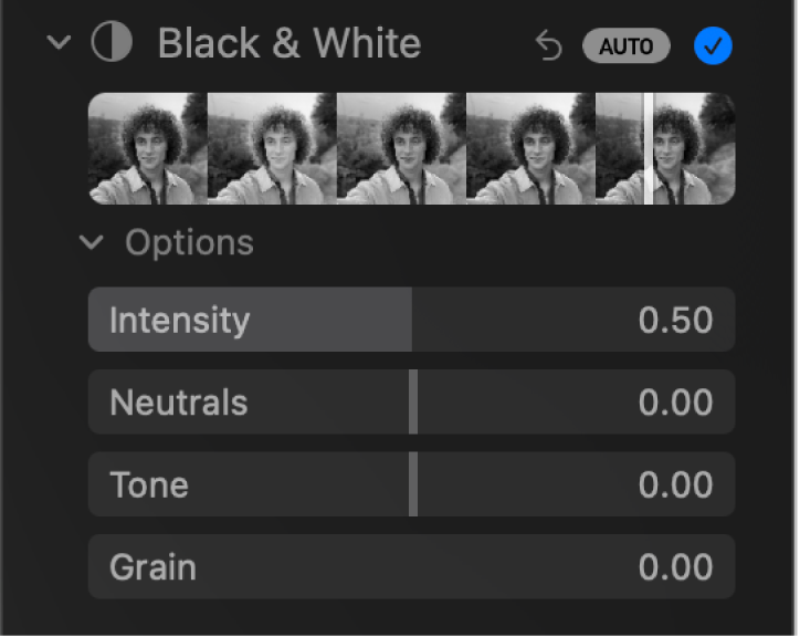 منطقة الأسود والأبيض في جزء الضبط، تظهر بها أشرطة التمرير شدة اللون، وألوان محايدة، والدرجة اللونية، وحبوب.