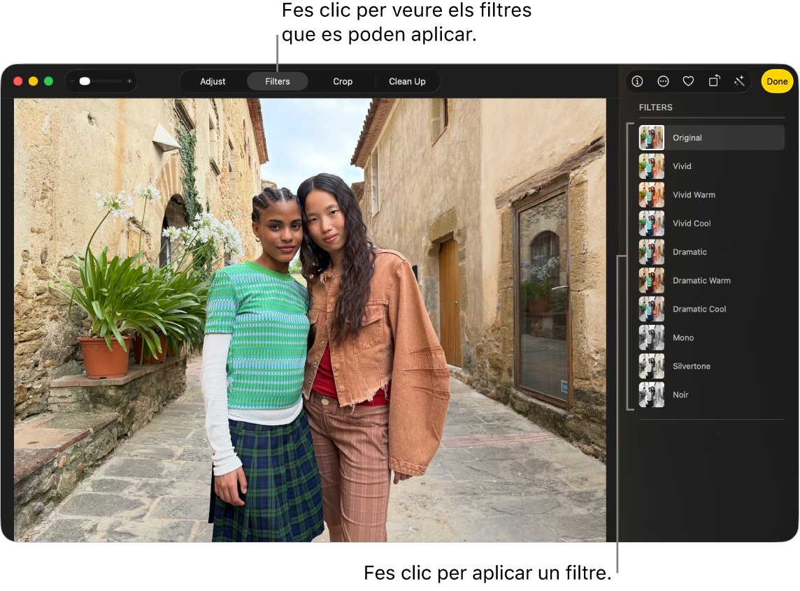 Una foto en la vista d’edició, amb l’opció de filtres seleccionada a la barra d’eines i opcions de filtres a la dreta.