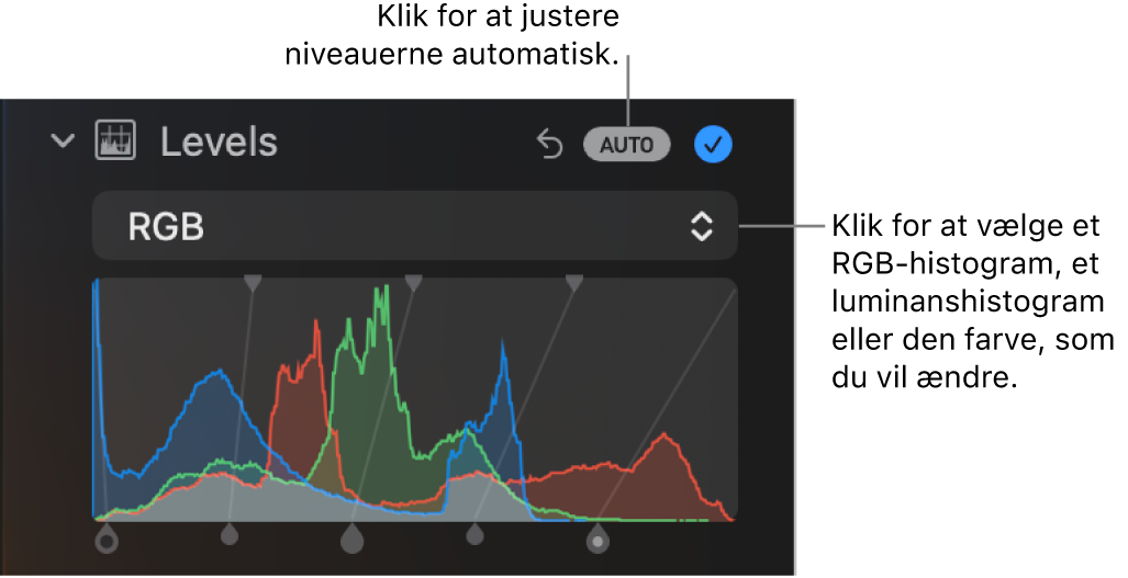 Betjeningsmulighederne til Niveauer i vinduet Juster med knappen Auto øverst til højre og RGB-histogrammet nedenunder.