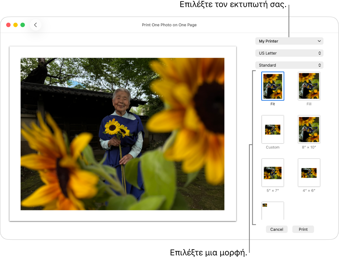 Ένα παράθυρο για επιλογή των ρυθμίσεων εκτύπωσης, με μια περιοχή προεπισκόπησης εκτύπωσης στα αριστερά και τις ρυθμίσεις εκτύπωσης στα δεξιά.