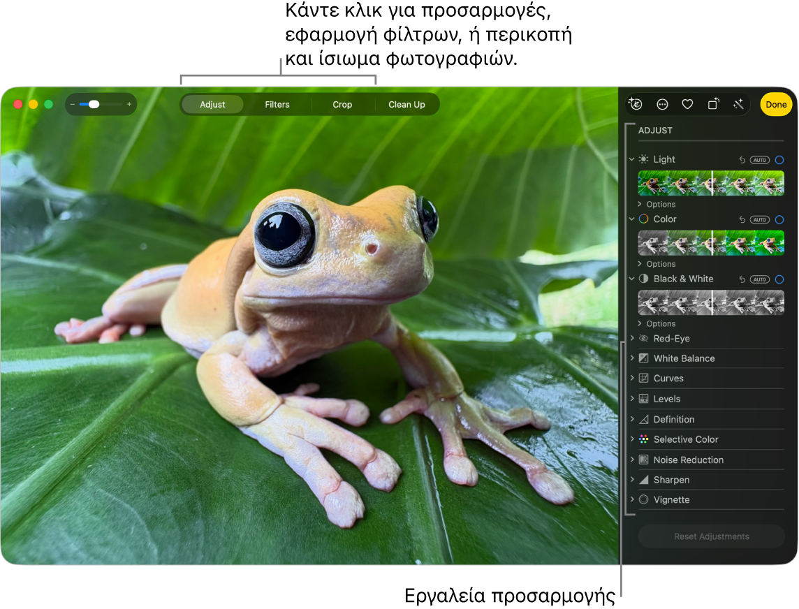 Μια φωτογραφία σε προβολή επεξεργασίας, με την «Προσαρμογή» επιλεγμένη στη γραμμή εργαλείων και εργαλεία προσαρμογής στα δεξιά.
