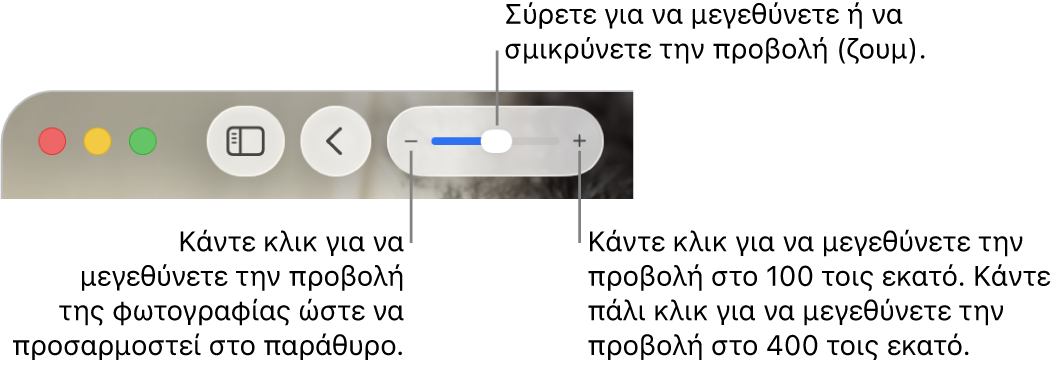 Η γραμμή εργαλείων όπου εμφανίζονται στοιχεία ελέγχου ζουμ.