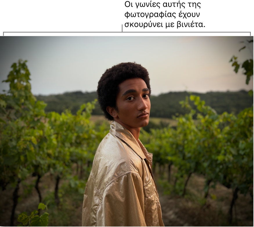 Μια φωτογραφία στην οποία έχει εφαρμοστεί μια βινιέτα και φαίνεται η σκουρότητα γύρω από τα άκρα.