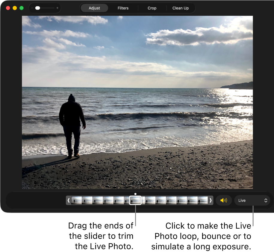 A Live Photo in editing view with a slider beneath it showing the frames of the photo. To the right of the slider are the Speaker button and a pop-up menu you can use to add a loop, bounce or long exposure effect.