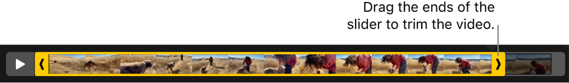 Trim handles in a video.