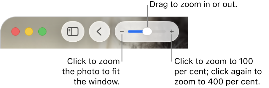 The toolbar showing zoom controls.
