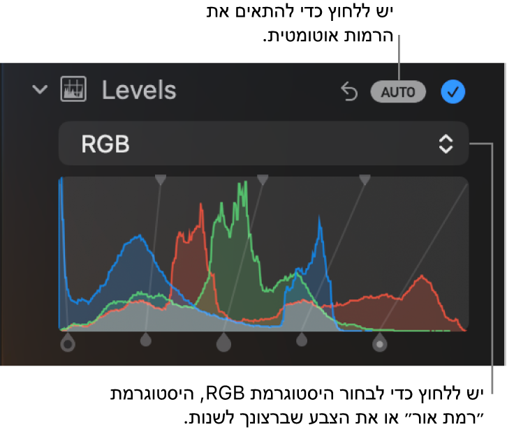 פקדי רמות בחלונית ״התאם״ המציגים את הכפתור ״אוטומטי״ בפינה השמאלית העליונה והיסטוגרמה של RGB מלמטה.
