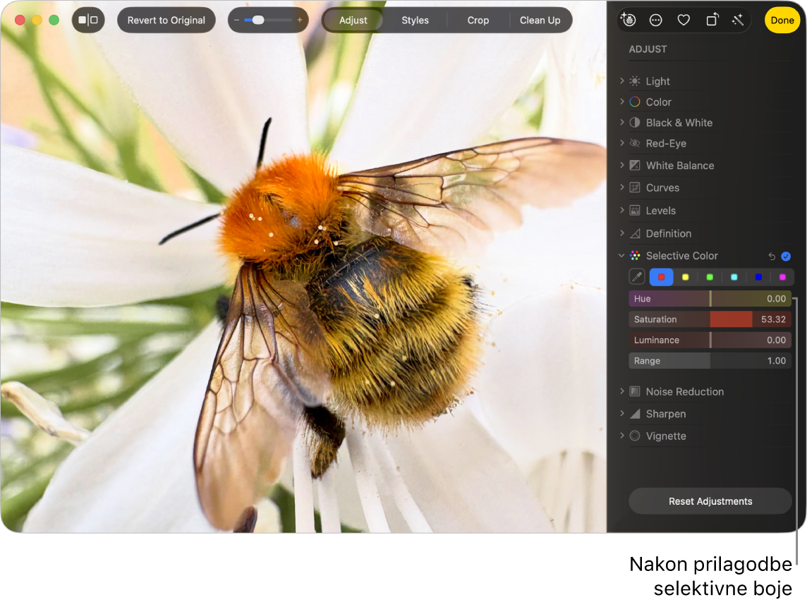 Fotografija nakon prilagodbe Selektivne boje s prikazom povećane zasićenosti boja.