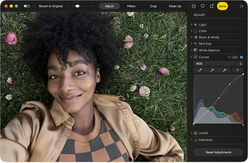 Fotografija u prikazu za uređivanje s odabranom opcijom Prilagodi u alatnoj traci i opcijama prilagodbe s desne strane.