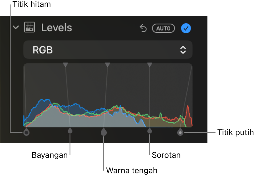 Kontrol Level di panel Sesuaikan, menampilkan histogram RGB dengan pengendali di bawah, termasuk (dari kiri ke kanan) titik hitam, bayangan, warna tengah, sorotan, dan titik putih.