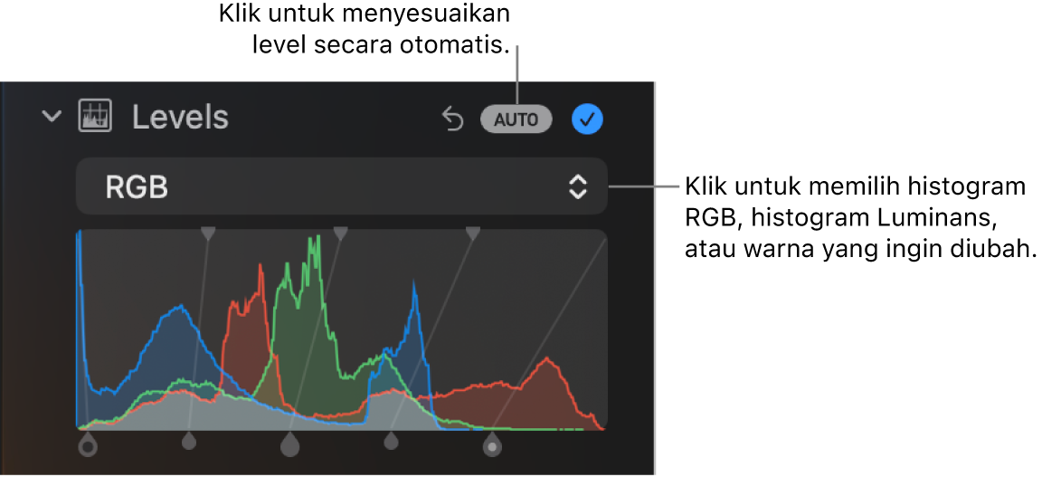 Kontrol Level di panel Sesuaikan, dengan dan tombol Otomatis di kanan atas serta histogram RGB di bawah.
