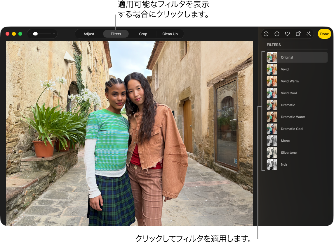 編集ビューの写真。ツールバーで「フィルタ」が選択され、右側にフィルタオプションがあります。