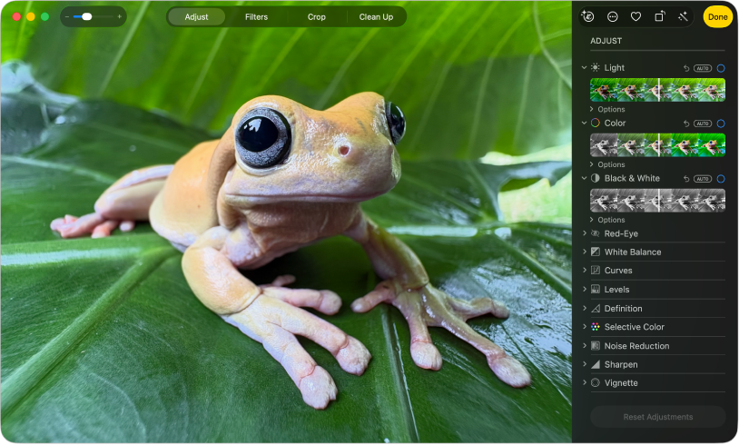 Een foto in de bewerkingsweergave, met 'Pas aan' geselecteerd in de knoppenbalk en aanpassingshulpmiddelen aan de rechterkant.
