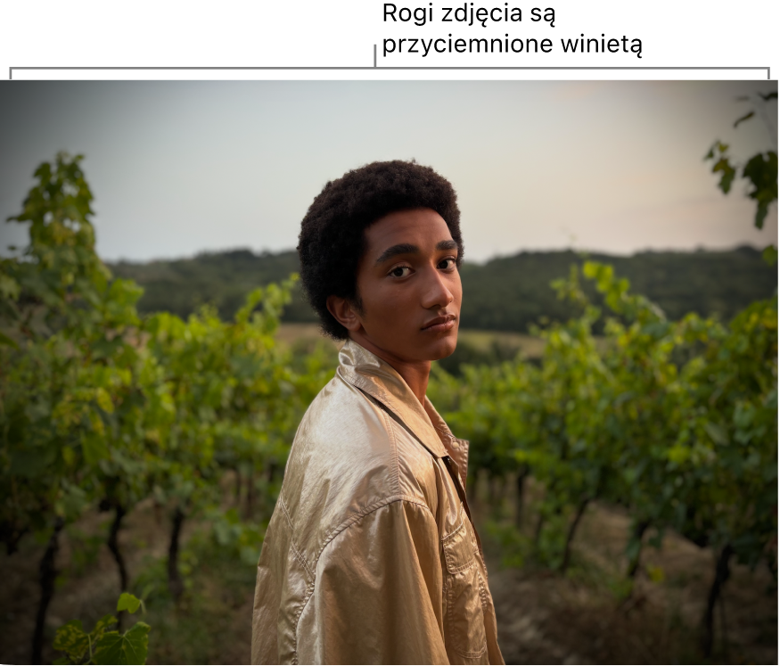 Zdjęcie z zastosowanym efektem winiety zaciemniającym jego krawędzie.