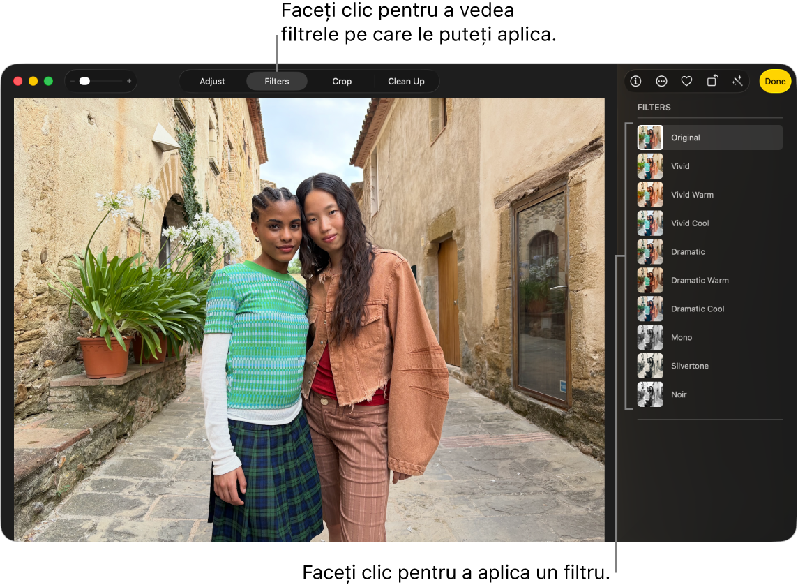 O poză în vizualizarea de editare, cu butonul Filtre selectat în bara de instrumente și opțiunile de filtrare în dreapta.