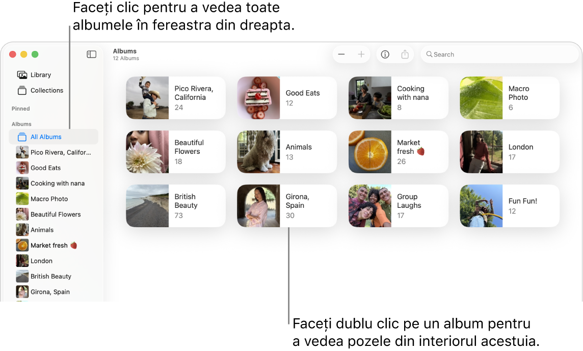 Fereastra Poze cu secțiunea Albume selectată în bara laterală și albumele afișate în partea dreaptă.