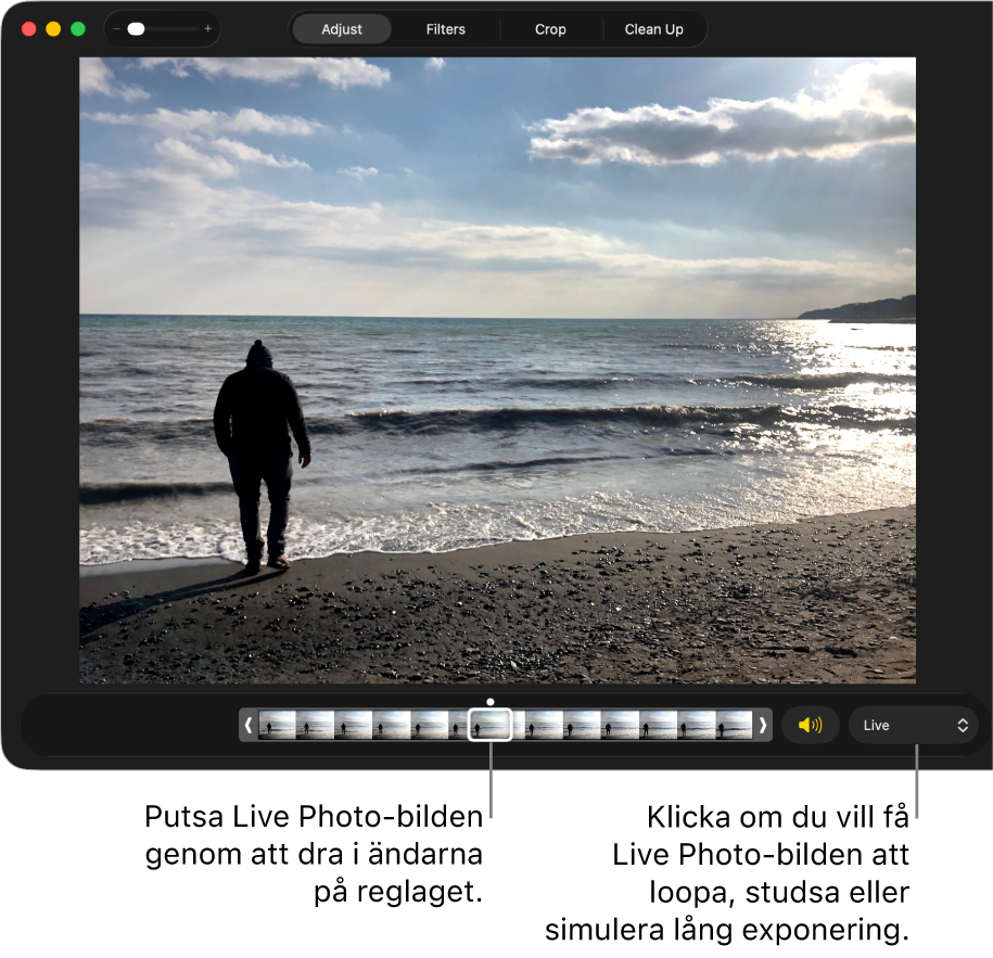 En Live Photo-bild i redigeringsvyn med ett reglage under som visar bildens kanter. Till höger om reglaget finns högtalarknappen och en popupmeny som du kan använda till att lägga till effekten Loopa, Studsa eller Lång exponering.