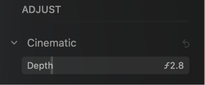 De cinematiska reglagen i panelen Justera visar reglaget Djup.
