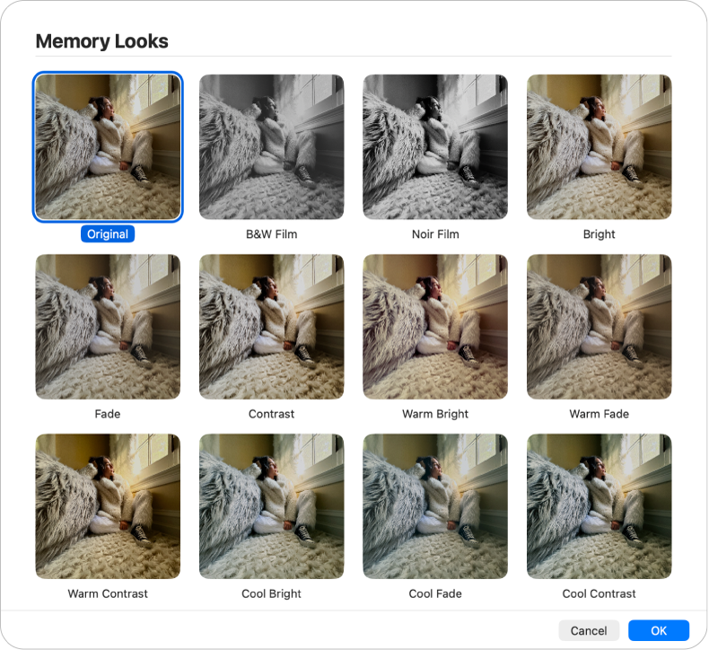 Bilder-fönstret med utseenden som du kan använda på objekt i ett minne.