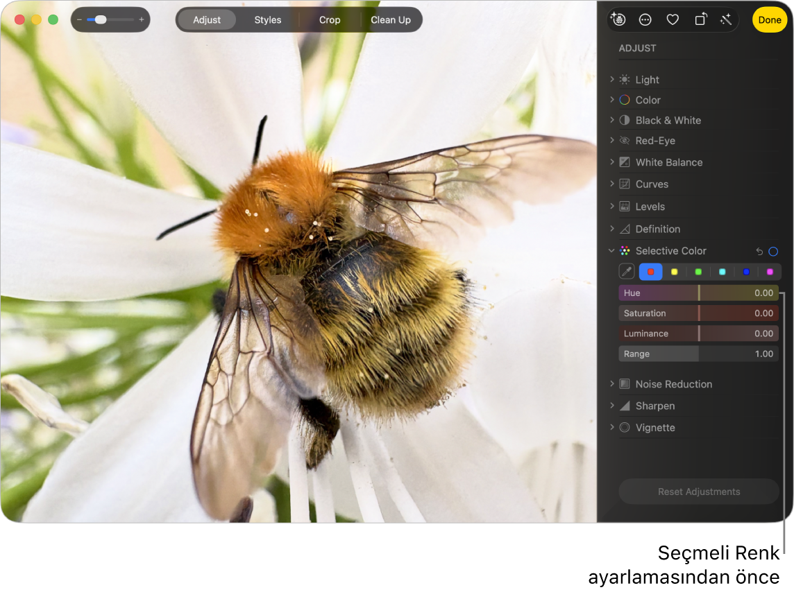 Seçmeli Renk ayarlamasından önceki fotoğraf.