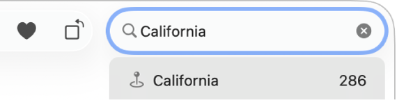 Поле пошуку з введеним критерієм.