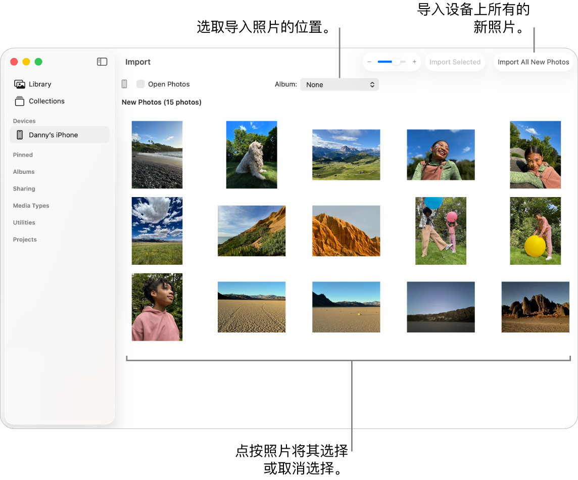 Mac 上“照片”中的“导入”窗口,显示设备上的新照片。中间顶部是“相簿”弹出式菜单。右上方是“导入”按钮。