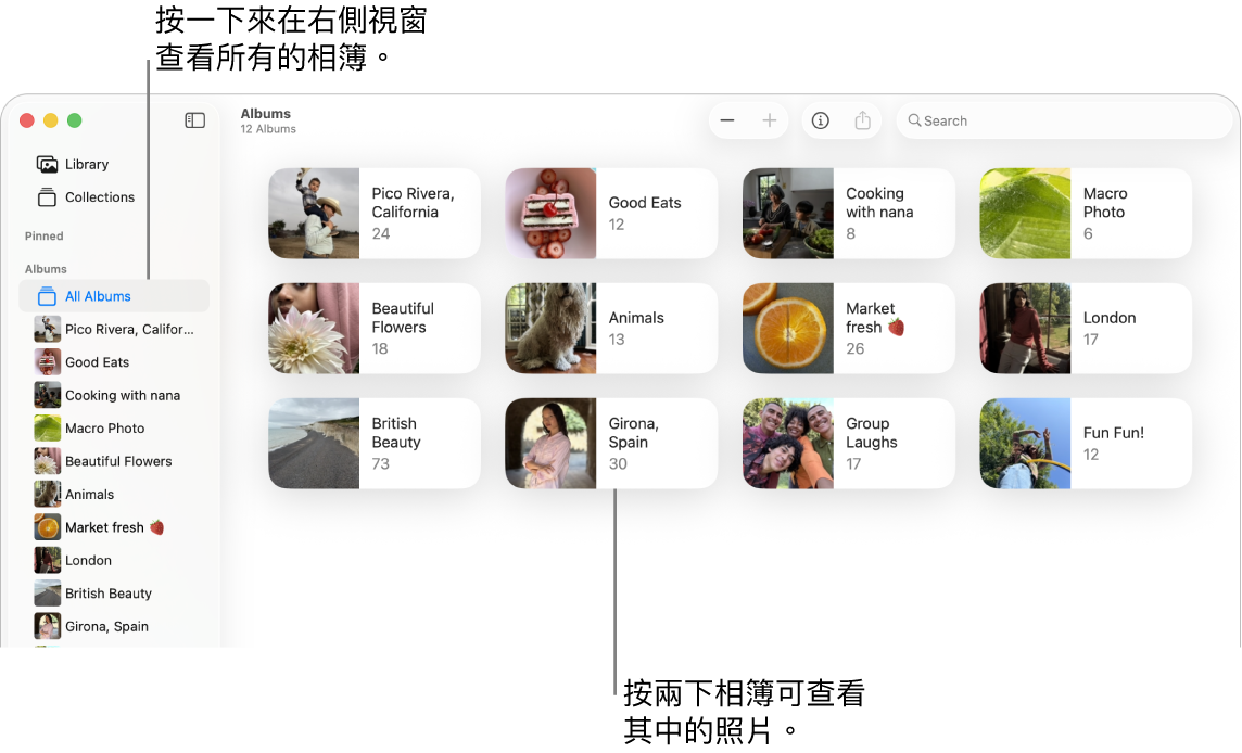 「照片」視窗,顯示側邊欄中選取了「相簿」,而右側顯示相簿。