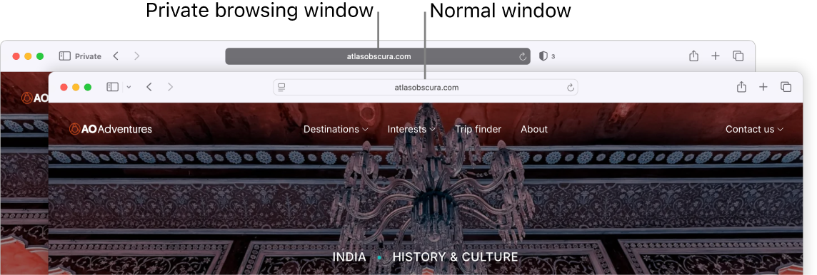 A private Safari window with its dark Smart Search field, and a normal Safari window with its light Smart Search field.